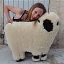 images/galeries/13/vignettes/Mouton laine 2.jpg